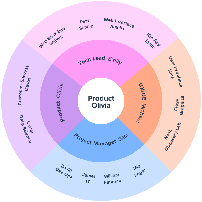 Cross functional team for a project